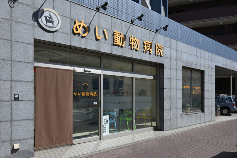 外観