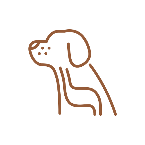 内視鏡検査