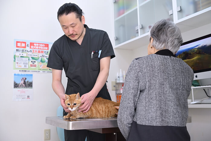 500症例以上の診療実績