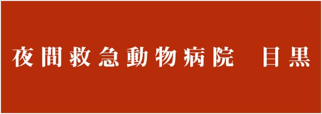 夜間救急動物病院 目黒