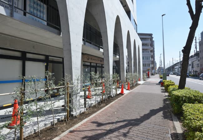 大通り